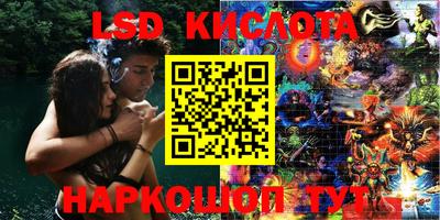 прущие грибы Апшеронск