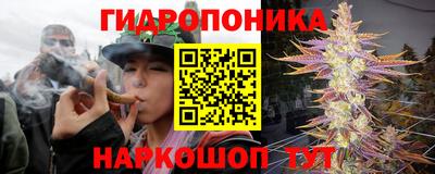прущие грибы Апшеронск