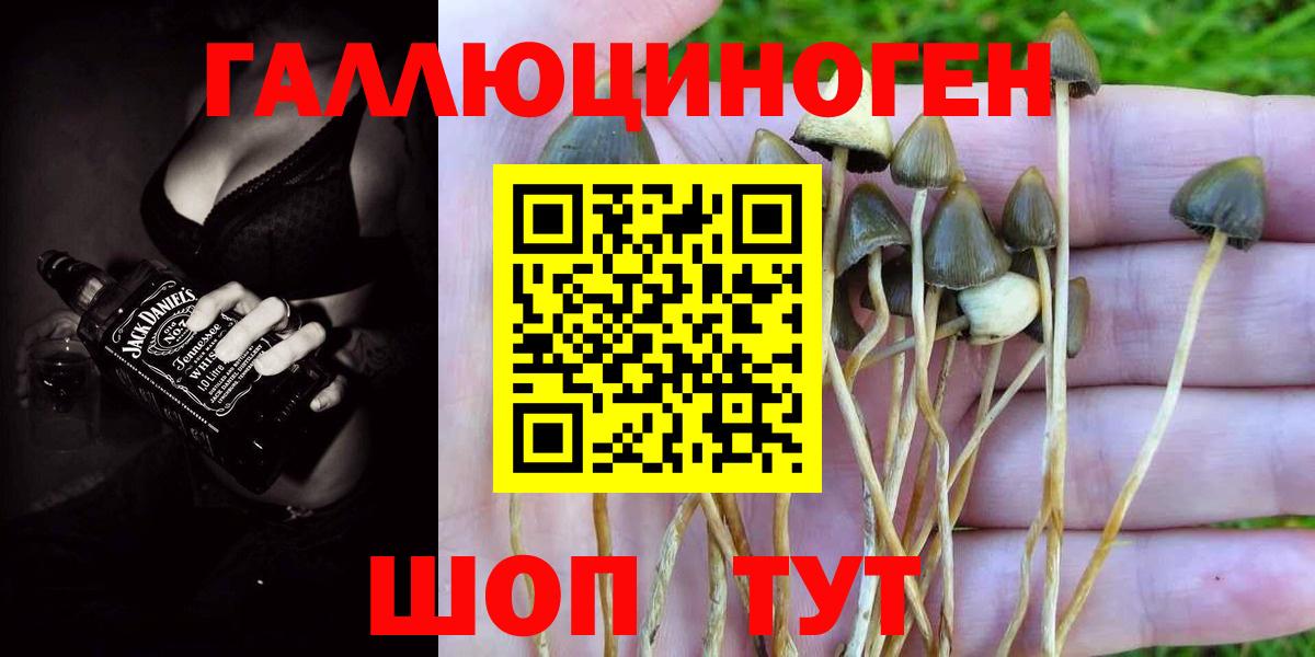 Псилоцибиновые грибы мухоморы  Вход с VPN  Артёмовский 
